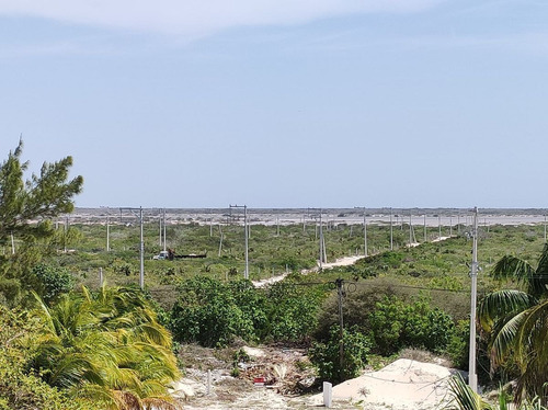 Imagen 22 de 24 de Terreno En Playa Chicxulub En Venta. Con Acceso A La Playa