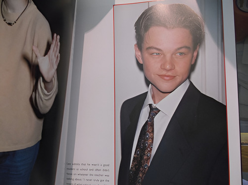 Leonardo- Lisa Degnen (biografia Leonardo Di Caprio) (Usado)