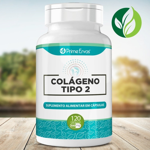 Imagem 2 de 4 de Colágeno Tipo 2 Natural 120 Cápsulas De 40mg