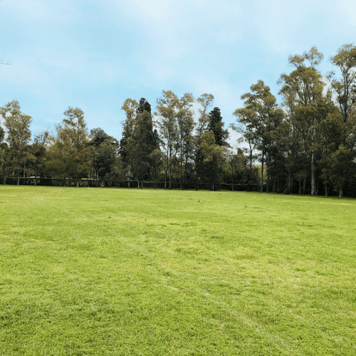 Imagen 9 de 13 de Lote/terreno De 12×31 Financia