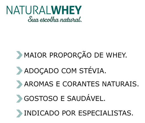 Shake Natural Whey Chocolate 250ml - Pack C/12un