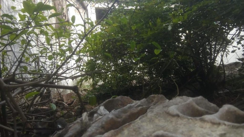 Imagem 4 de 5 de Vende Terreno Em Casa Amarela - Te0075