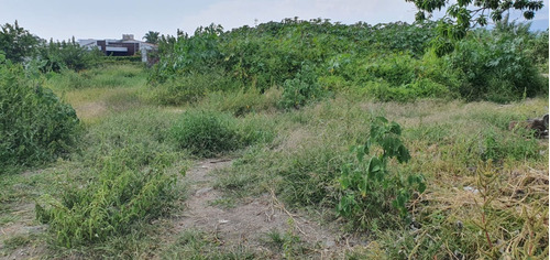 Imagen 5 de 5 de En Venta Amplio Terreno Con Escrituras Y Conexion A Servicios En Fracc. Lomas De Cocoyoc