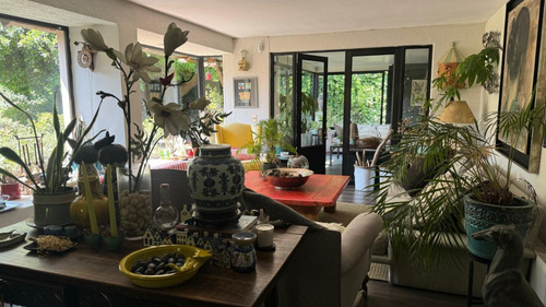 Bernardo Larrain / Calle Interior