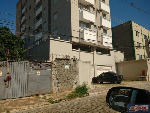 Imagem 6 de 10 de Lote À Venda, Vila Milton, Guarulhos - Te0127. - Ai3665