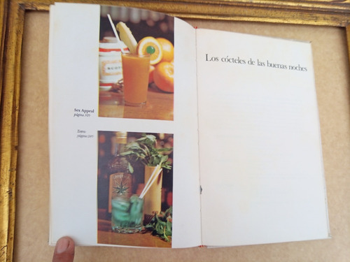 Gran Libro De Los Cocktails José María Gotarda (Usado)