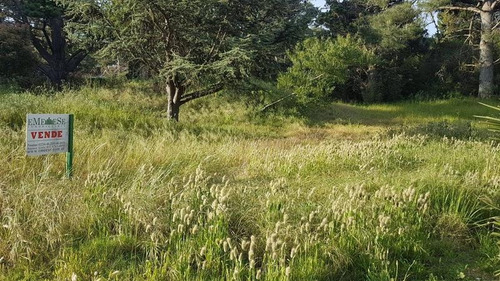 Terreno - Golf Viejo