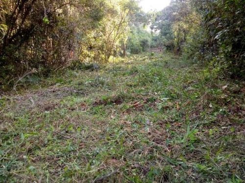 Imagem 10 de 12 de Terreno À Venda No Jardim Coronel - Itanhaém 6462 | A.c.m