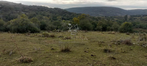 Campo En Carape Son 42 Hs 2293 M2
