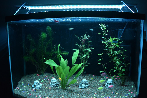 Excelente Lámpara Led Rgb Para Acuario 60cms Aérea