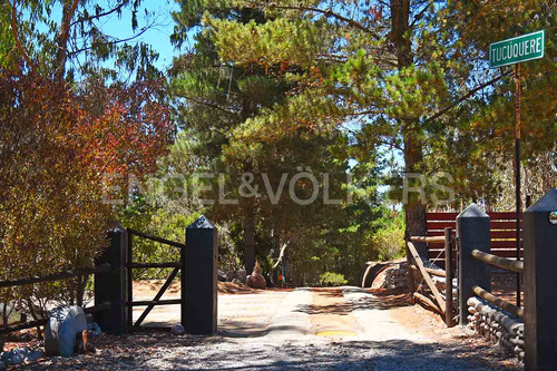 Arriendo Casa En Parque Nativo