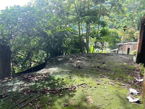 Imagen 5 de 9 de Lote Andromeda En El Caloso, Puerto Vallarta