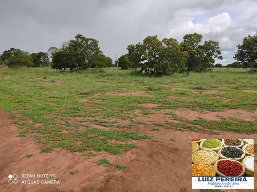 Fazenda À Venda Em Formoso Do Araguaia-to-de 400 Alqueirões (dupla Aptidão) - 1604