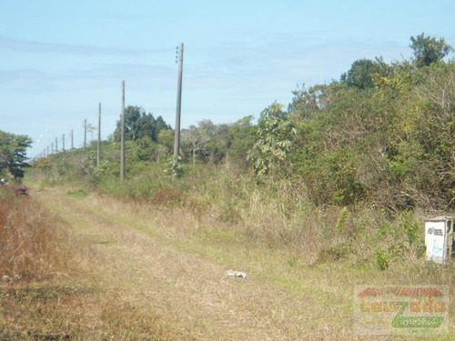 Terreno Para Venda Em Peruíbe, Estancia Sao Jose - 0536_2-321727