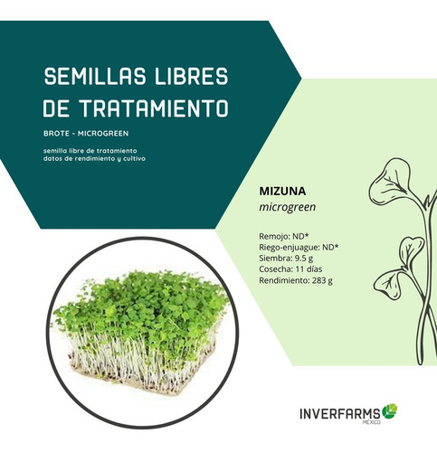 Semilla Libre Tratamiento Mizuna Brote Microgreen 20.6g