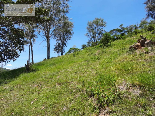 Imagem 4 de 5 de Terreno À Venda, 10000 M² Por R$ 450.000,00 - Secretário - Petrópolis/rj - Te0230