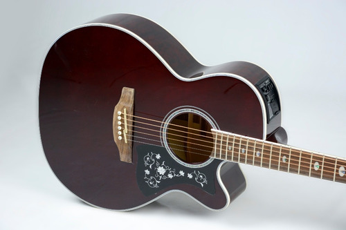 Violão Takamine Gn75 Wine Red