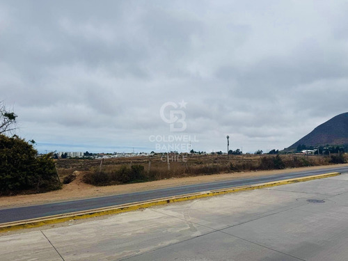 Terrenos Para Desarrollo La Serena / Cuatro Esquinas