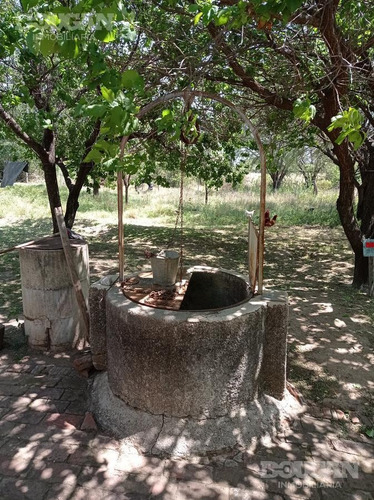 Imagen 25 de 27 de Campo - Punta De Agua
