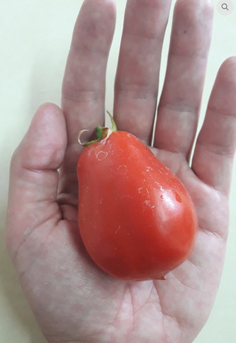 30 Semillas De Tomate Perita Grande (organico)