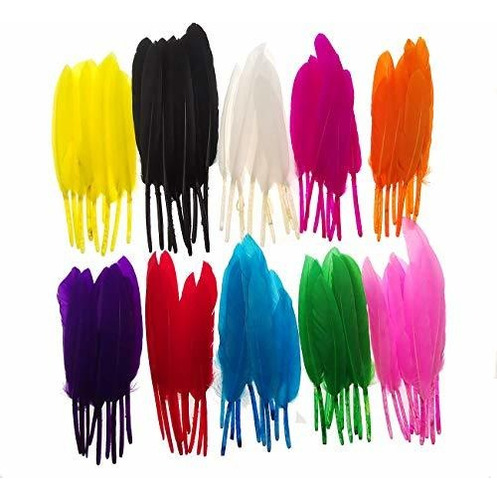 Dxeud Ganso Plumas De Colores 100pcs / Pack / (10pcs X10col