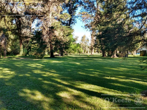 Imagen 11 de 20 de Quinta En Venta En Abasto 4180 Mts. Con Muy Buena Forestación