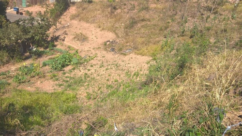 Lote Para Venda Em Ribeirão Das Neves, Santinho - L33_1-1021474