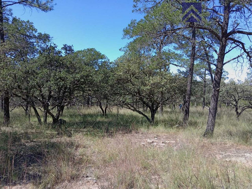 Terreno En Venta En Desarrollo Ecoturisco La Muralla Durango