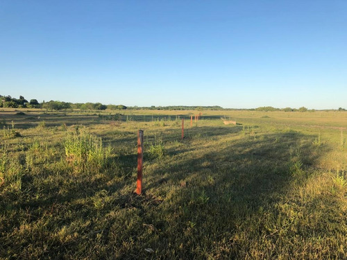 Venta Campo,chacra,  En Berisso ,magdalena Bavio