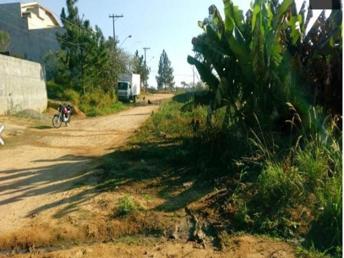 Imagem 3 de 5 de Terreno - Te00141 - 69381158