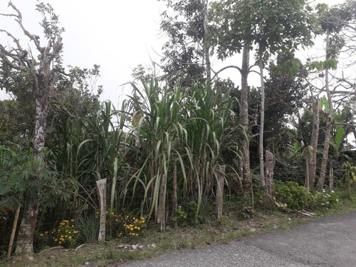 Imagen 12 de 13 de En Venta Casa Con Terreno Ubicada En Tovar Estado Mérida
