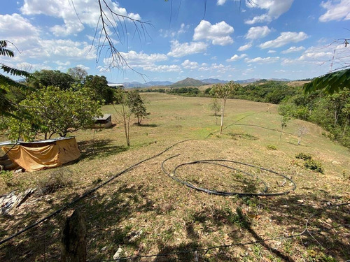 Imagen 27 de 30 de En Venta Granja Automatizada Y Finca De Ganado 142638 Andres Peña