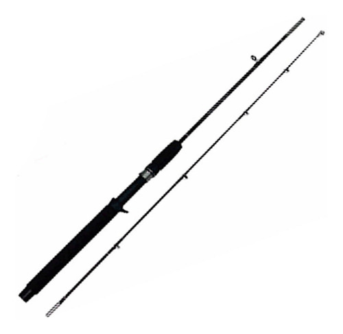 Imagem 2 de 3 de Vara Carretilha Pescaria Pesada Traíra Material De Pesca