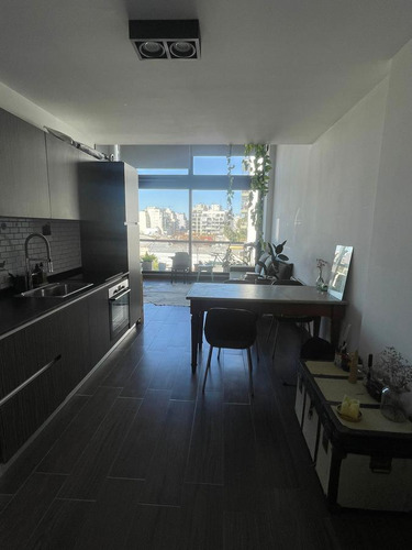 Imagen 8 de 26 de Alquiler Luminoso Loft 2 Ambientes Frente Balcon Terraza - Proyecto Brasilia - Palermo