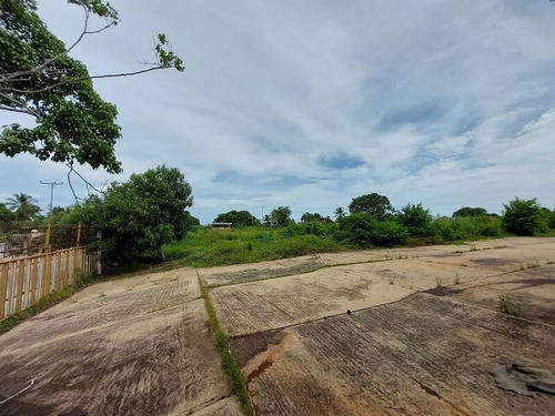 Imagen 12 de 20 de Venta De Terreno Con Galpones Puerto Cabello (9.971 Metros) Cód. 161495