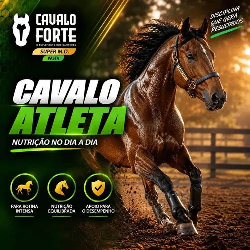 Pasta Mo Gel Cx Com 2 Seringas Suplemento Cavalo Forte Oral: imagem 2
