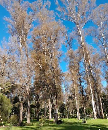 Venta De Terreno En El Barrio Los Bosquecitos
