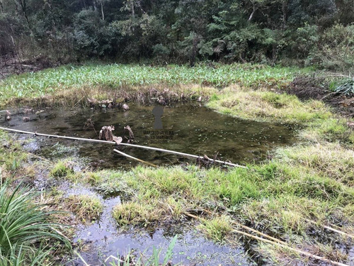 Chácara A Venda No Bairro Centro Em Bocaiúva Do Sul - Pr. - 217-1