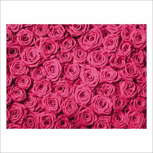 Fundo Fotográfico Textura Rosas Tecido 2,20m X1,50m F504 Cor Rosa Desenho impresso HORIZONTAL