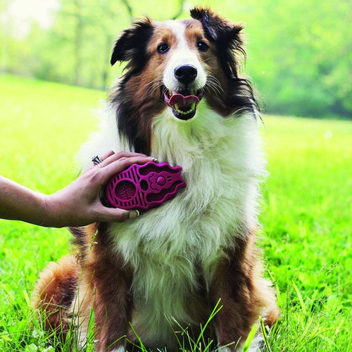 Kong Zoomgroom - Grande Morado