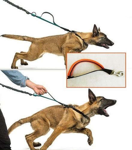Imagen 2 de 4 de Correa De Paseo Para Perros Klokan