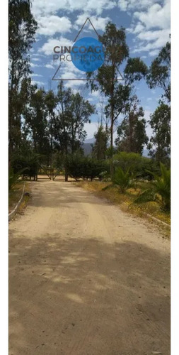 Oportunidad De Arriendo En Catapilco Zapallar