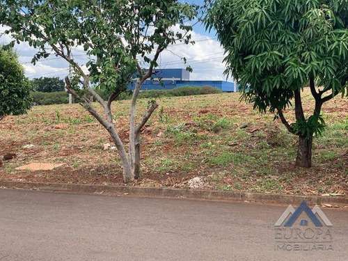 Terreno À Venda, 250 M² Por R$ 165.000,00 - Catuai - Londrina/pr - Te0445