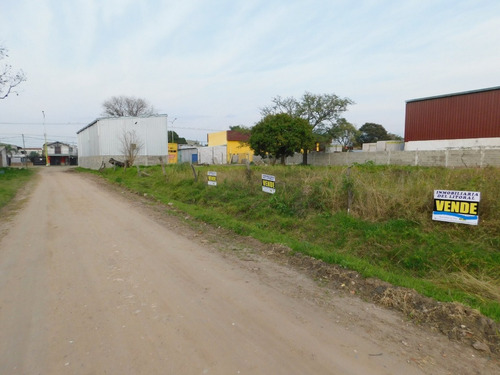 Imagen 8 de 10 de Dos Lotes A 50m De Av. Centenario.