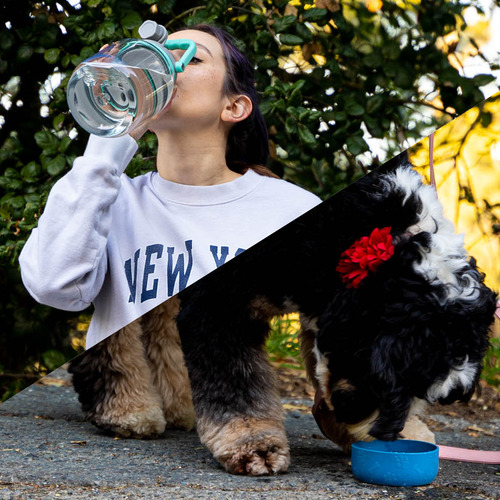 Botella De Agua 2 En 1 Y Cuenco Para Mascotas Barkley Asobu Color Azul