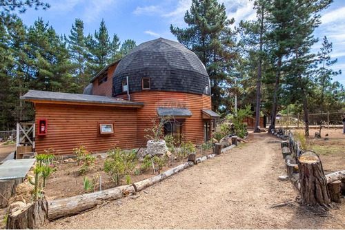 Cinco Domos Con Humedal, Bosque Y Río En Algarrobo
