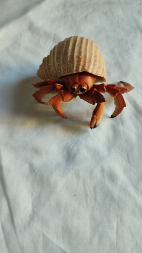 Hermit Crab  Safari Ltd 2006!