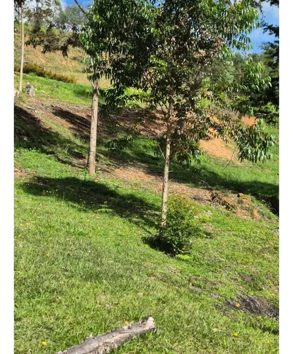 Rhbr-12729 (lote San Vicente Vda Chaparral)