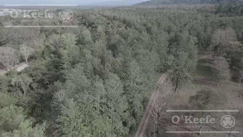 Imagen 9 de 11 de Campo - San Ramon De La Nueva Oran