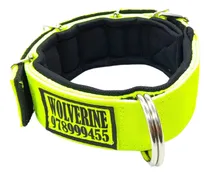 Comprar Collar Para Mascotas, Collares Personalizados